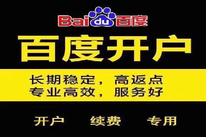 SEM广告的精准定向技巧与成功案例解析